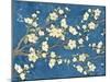 Cherry Blossoms Blue-Diane Stimson-Mounted Art Print