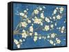 Cherry Blossoms Blue-Diane Stimson-Framed Stretched Canvas