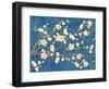 Cherry Blossoms Blue-Diane Stimson-Framed Art Print