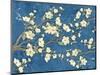 Cherry Blossoms Blue-Diane Stimson-Mounted Art Print