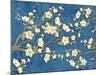 Cherry Blossoms Blue-Diane Stimson-Mounted Art Print