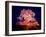 Cherry Blossoms by Night-null-Framed Photographic Print