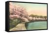 Cherry Blossoms by Tidal Basin-null-Framed Stretched Canvas