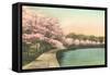 Cherry Blossoms by Tidal Basin-null-Framed Stretched Canvas