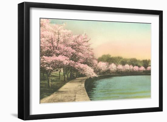 Cherry Blossoms by Tidal Basin-null-Framed Art Print