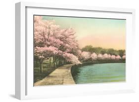 Cherry Blossoms by Tidal Basin-null-Framed Art Print