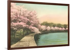 Cherry Blossoms by Tidal Basin-null-Framed Art Print