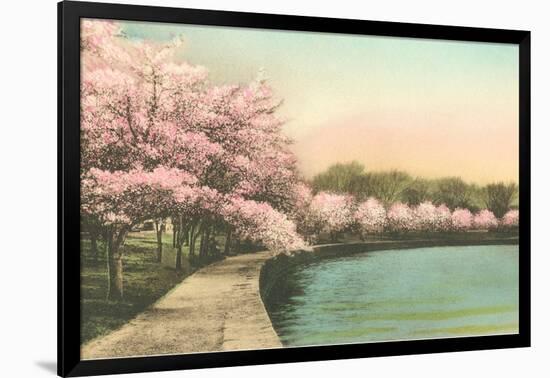 Cherry Blossoms by Tidal Basin-null-Framed Art Print