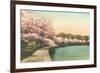 Cherry Blossoms by Tidal Basin-null-Framed Premium Giclee Print