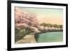 Cherry Blossoms by Tidal Basin-null-Framed Premium Giclee Print