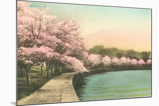 Cherry Blossoms by Tidal Basin-null-Mounted Premium Giclee Print