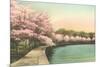 Cherry Blossoms by Tidal Basin-null-Mounted Premium Giclee Print