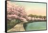 Cherry Blossoms by Tidal Basin-null-Framed Stretched Canvas