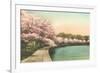 Cherry Blossoms by Tidal Basin-null-Framed Art Print