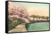 Cherry Blossoms by Tidal Basin-null-Framed Stretched Canvas