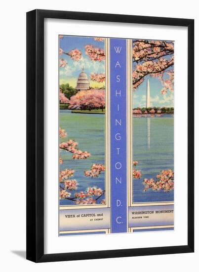 Cherry Blossoms, Capitol, Washington D.C.-null-Framed Art Print