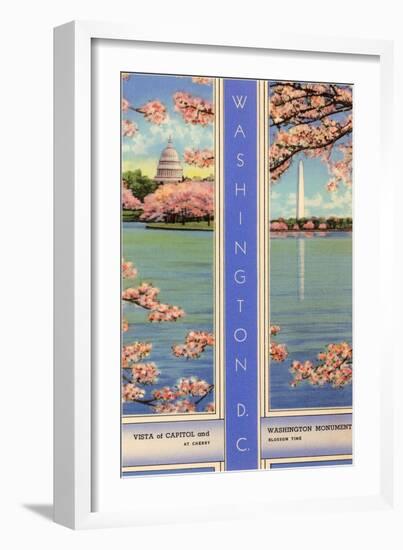 Cherry Blossoms, Capitol, Washington D.C.-null-Framed Art Print