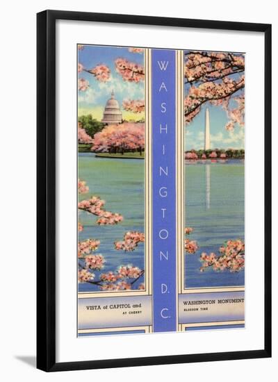 Cherry Blossoms, Capitol, Washington D.C.-null-Framed Art Print