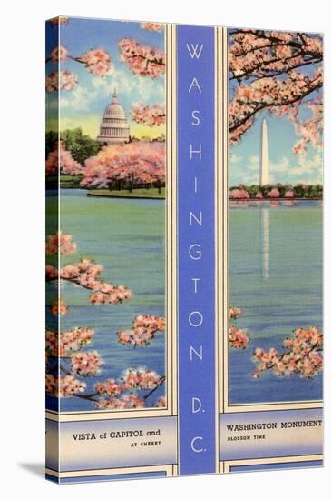 Cherry Blossoms, Capitol, Washington D.C.-null-Stretched Canvas