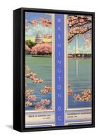 Cherry Blossoms, Capitol, Washington D.C.-null-Framed Stretched Canvas