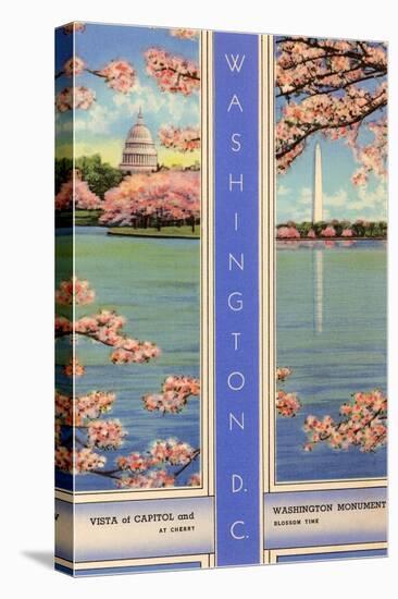 Cherry Blossoms, Capitol, Washington D.C.-null-Stretched Canvas