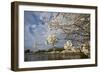 Cherry Blossoms Decorate Trees Around Tidal Basin In Washington DC; Washington Monument Stands Bkgd-Karine Aigner-Framed Photographic Print