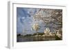 Cherry Blossoms Decorate Trees Around Tidal Basin In Washington DC; Washington Monument Stands Bkgd-Karine Aigner-Framed Photographic Print