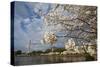 Cherry Blossoms Decorate Trees Around Tidal Basin In Washington DC; Washington Monument Stands Bkgd-Karine Aigner-Stretched Canvas