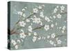 Cherry Blossoms Gray-Diane Stimson-Stretched Canvas