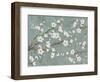 Cherry Blossoms Gray-Diane Stimson-Framed Art Print