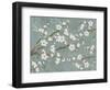 Cherry Blossoms Gray-Diane Stimson-Framed Art Print