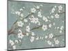 Cherry Blossoms Gray-Diane Stimson-Mounted Art Print