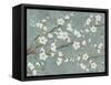 Cherry Blossoms Gray-Diane Stimson-Framed Stretched Canvas