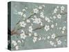 Cherry Blossoms Gray-Diane Stimson-Stretched Canvas