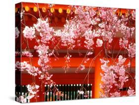 Cherry Blossoms, Heian-Jingu Shrine, Kyoto, Japan-null-Stretched Canvas