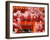 Cherry Blossoms, Heian-Jingu Shrine, Kyoto, Japan-null-Framed Premium Photographic Print