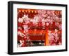 Cherry Blossoms, Heian-Jingu Shrine, Kyoto, Japan-null-Framed Premium Photographic Print