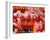 Cherry Blossoms, Heian-Jingu Shrine, Kyoto, Japan-null-Framed Premium Photographic Print