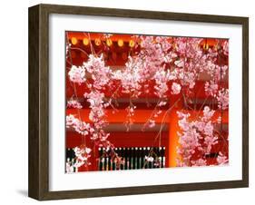 Cherry Blossoms, Heian-Jingu Shrine, Kyoto, Japan-null-Framed Photographic Print