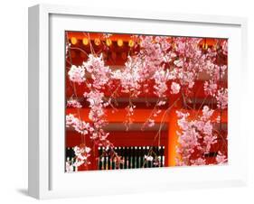 Cherry Blossoms, Heian-Jingu Shrine, Kyoto, Japan-null-Framed Photographic Print