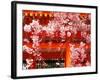 Cherry Blossoms, Heian-Jingu Shrine, Kyoto, Japan-null-Framed Photographic Print