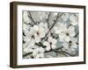 Cherry Blossoms I Blue Crop-James Wiens-Framed Art Print