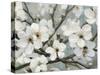 Cherry Blossoms I Blue Crop-James Wiens-Stretched Canvas