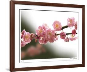 Cherry Blossoms I-Joy Doherty-Framed Giclee Print