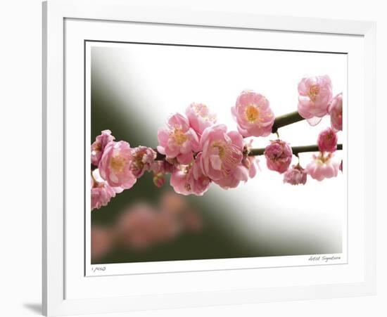 Cherry Blossoms I-Joy Doherty-Framed Giclee Print