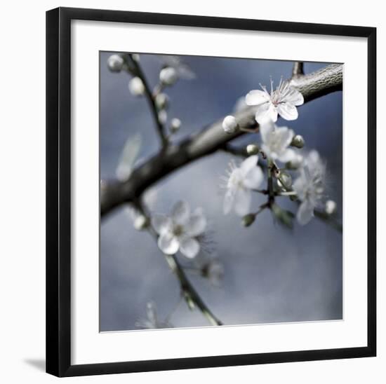 Cherry Blossoms I-Heather Johnston-Framed Giclee Print