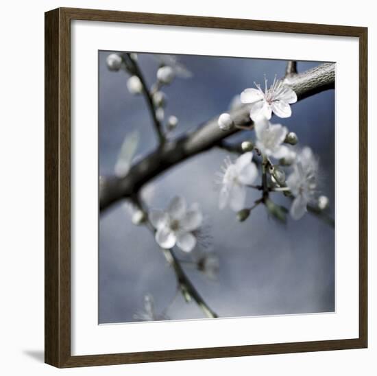 Cherry Blossoms I-Heather Johnston-Framed Giclee Print