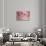 Cherry Blossoms I-Rita Crane-Art Print displayed on a wall