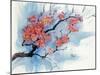 Cherry Blossoms I-Paul Brent-Mounted Art Print