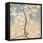 Cherry Blossoms I-John Seba-Framed Stretched Canvas